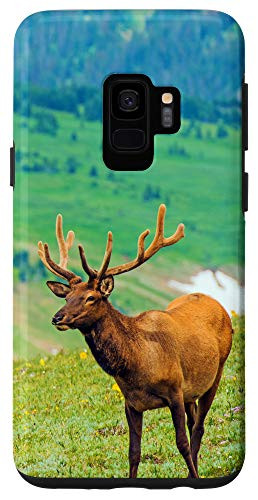 Galaxy S9 Deer Wildlife Nature Buck Hunting Doe Outdoors Gift Case