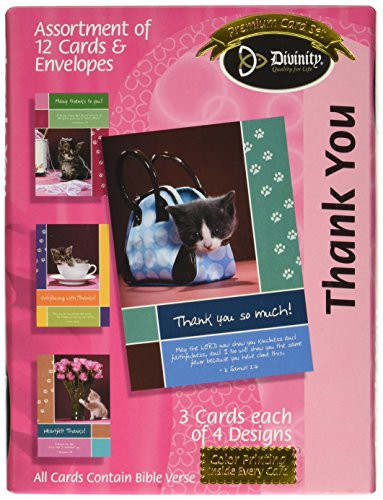 Divinity Boutique Greeting Card Assortment: Thank You - Cat (18032N)