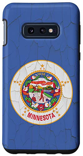 Galaxy S10e Minnesota Flag MN Grunge Wall Case