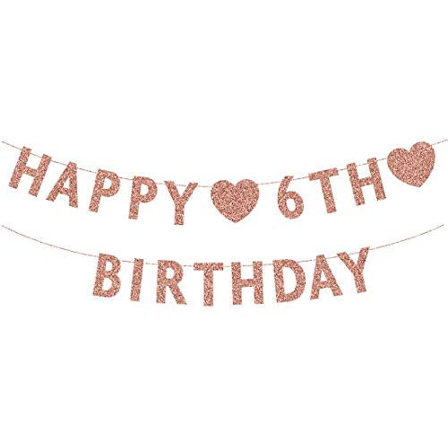Rose Gold 6th Birthday Banner  Glitter Happy 6 Years Old Boy or Girl Party Decorations  Supplies