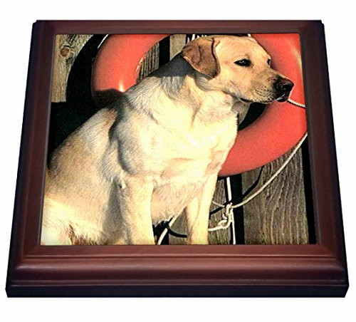 3dRose trv_741_1 Yellow Labrador Lab Trivet with Ceramic Tile, 8 by 8", Brown