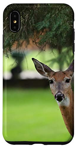 iPhone XS Max Deer Peeking Wildlife Nature Buck Hunting Doe Outdoors Gift Case