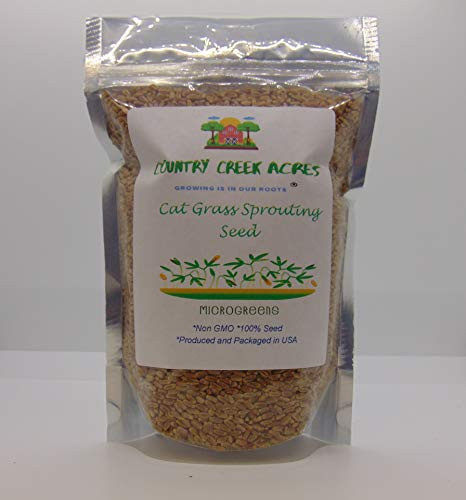 8oz Cat Grass Seeds - Hard Red Wheat- Wheatgrass Non GMO - Country Creek Acres LLC - Grown in The USA