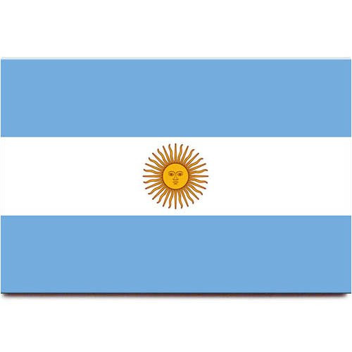Argentina flag fridge magnet Buenos Aires travel souvenir Argentina flag fridge magnet Buenos Aires travel souvenir