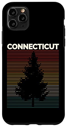 iPhone 11 Pro Max Connecticut Vintage Outdoors Sunset Souvenir Case