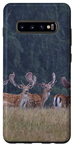 Galaxy S10- Deer Nature Wildlife Buck Hunting Doe Outdoors Gift Case