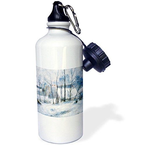 3dRose Landscape, 1879 by Paul Gauguin, Impressionist Winter Scene-Sports Water Bottle, 21oz (wb_173753_1)), 21 oz Multicolor