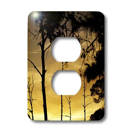 3dRose lsp_8667_6 Sunset in The Woods 2 Plug Outlet Cover