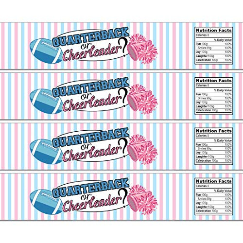 21 Quarterback or Cheerleader Water Bottle Labels - Football Gender Reveal - Pink and Blue