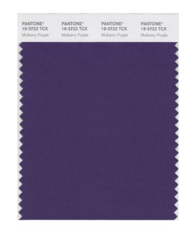 PANTONE Smart 19-3722X Color Swatch Card Mulberry Purple