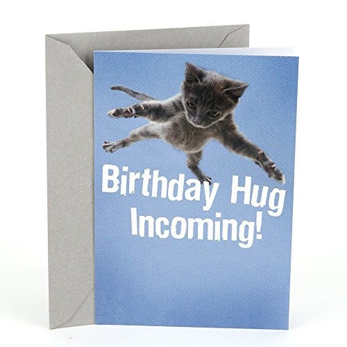 Hallmark Shoebox Funny Birthday Card Flying Cat