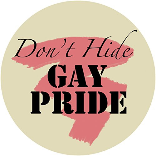 C D Visionary JSX Dont Hide Gay Pride Sticker S-JSX-0001