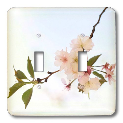 3dRose lsp_58507_2 Delicate Cherry Blossoms Double Toggle Switch