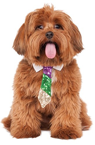 Rubies Mardi Gras Sequin Necktie Pet Costume SmallMedium Multicolor
