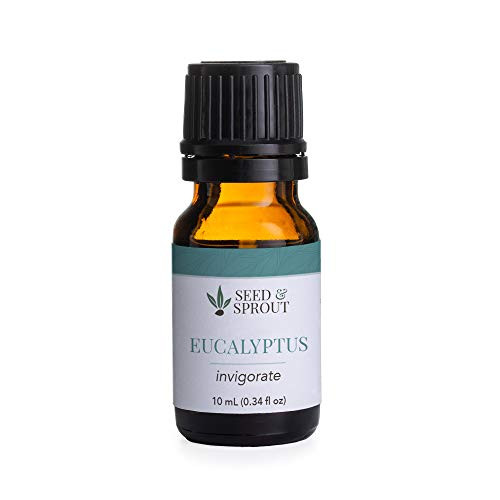 Seed   Sprout 10 Ml Essential Oil Eucalyptus 0_33 Fl_ Oz