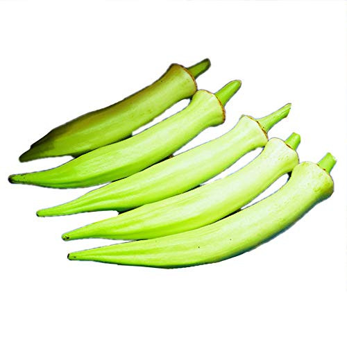 Park Seed Silver Queen Okra Seeds Pkt is 100 Seeds