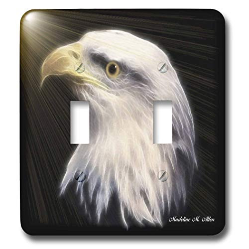 3dRose lsp-8391-2 American Bald Eagle B Double Toggle Switch 3dRose lsp-8391-2 American Bald Eagle B Double Toggle Switch