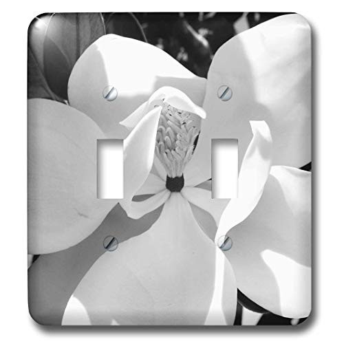 3dRose lsp-19965-2 B N W Magnolia Double Toggle Switch