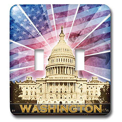 3dRose LLC lsp-19413-2 Washington DC Patriotic American Flag with Bald Eagle and Capitol Building Double Toggle Switch 3dRose LLC lsp-19413-2 Washington DC Patriotic American Flag with Bald Eagle and Capitol Building Double Toggle Switch