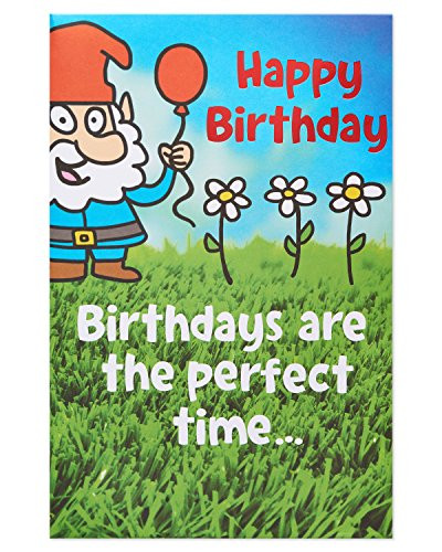 American Greetings Funny Gnome Birthday Card with Foil