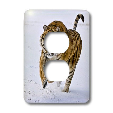 3dRose lsp-11371-6 Siberian Tiger Charges Through The Snow 2 Plug Outlet Cover