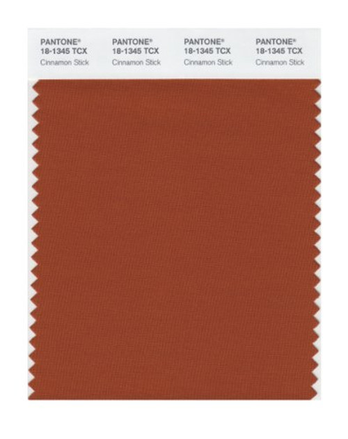 Pantone 18-1345 TCX Smart Color Swatch Card Cinnamon Stick