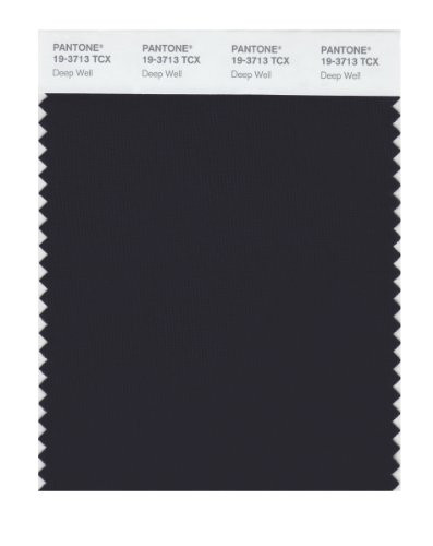 Pantone 19-3713 TCX Smart Color Swatch Card Deep Well