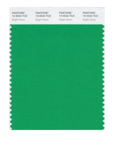 PANTONE Smart 15-5534X Color Swatch Card Bright Green