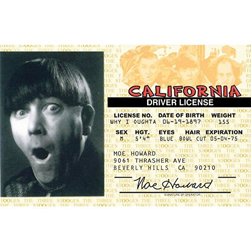 Signs 4 Fun NTIDM3 Stooges-Moes Drivers License