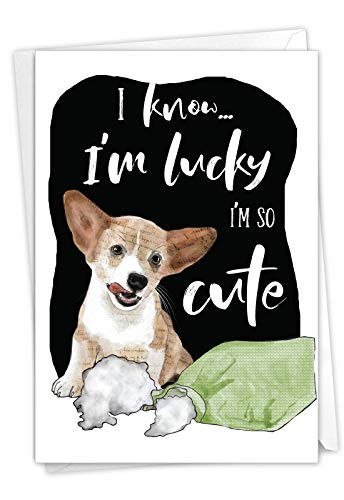NobleWorks - Funny Notecard for Birthdays - Cute Animal Bday Humor Great Card for Kids - Dog Antics Pillow Eater C3639BBDG