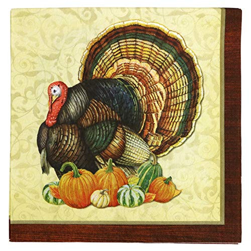 Paper Disposable Thanksgiving Party Napkins Large Dinner Size Harvest Turkey  32-Count