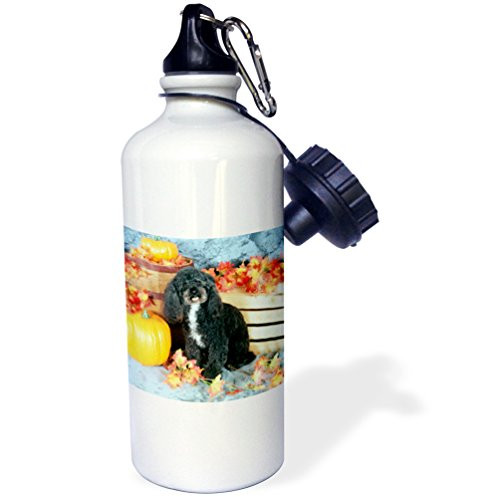 3dRose Toy Poodle Black Sports Water Bottle 21 oz White