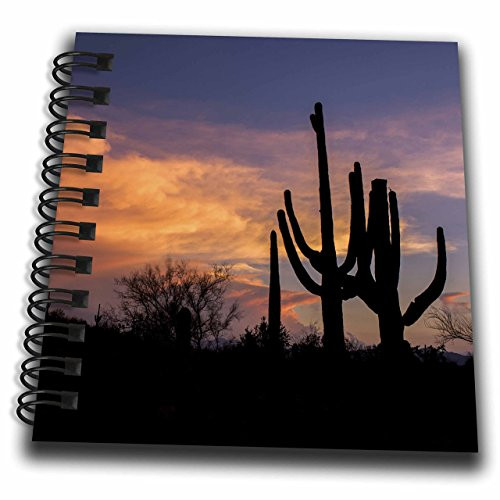 3D Rose Arizona - Tucson - Saguaro National Park West - Silhouette of Cacti Mini Notepad 4 x 4