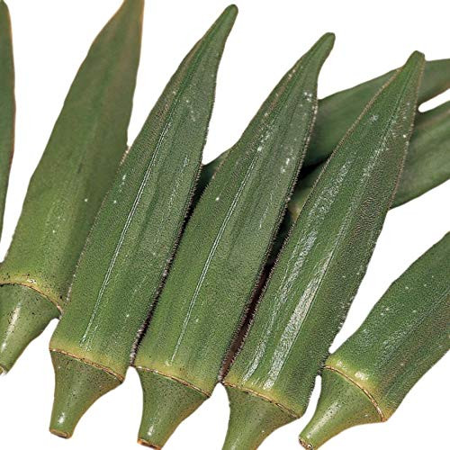 Park Seed Jambalaya Okra Seeds Includes 30 Seeds in a Pack