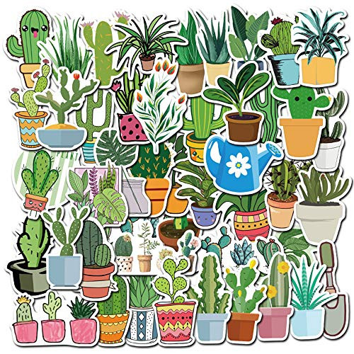Succulent Plants Stickers 45-Pack CuteWaterproofAestheticTrendy Stickers for TeensGirlsPerfect for LaptopHydro FlaskPhoneSkateboardTravel Extra Durable Vinyl Succulent Plants Succulent Plants Stickers 45-Pack CuteWaterproofAestheticTrendy Stickers for TeensGirlsPerfect for LaptopHydro FlaskPhoneSkateboardTravel Extra Durable Vinyl Succulent Plants