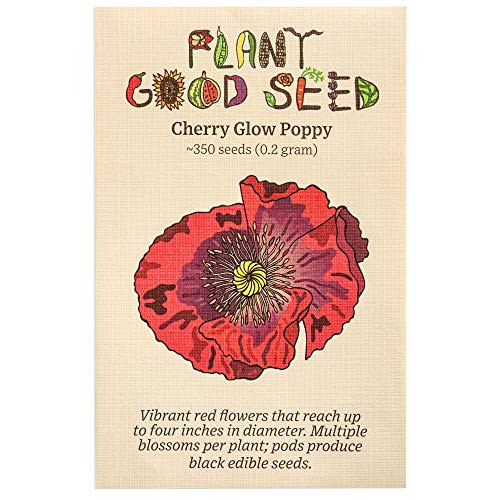 Cherry Glow Afghan Poppy Seeds ~350 Non-GMO Heirloom Open Pollinated Seeds from The United States