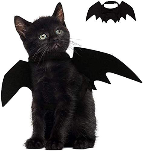 Halloween Cat Costume for Cats Dogs Pet Cat Bat Wings for Halloween Party Decoration Puppy Collar Leads Cosplay Bat Costume