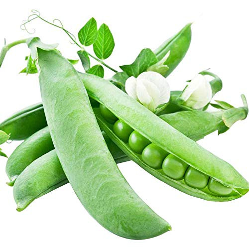 Pea Seeds 30g About 170 Sugar Snap Peas Pole Pisum Sativum Fava Garden Vegetable Seeds Organic Green Fresh Chinese Small for Planting Outside Door for Cooking Dish Soup Sweet Pole Pea Seeds