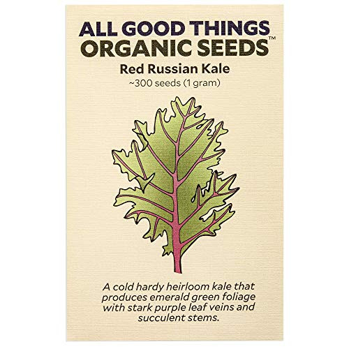 Red Russian Kale Seeds ~300 by All Good Things Organic Seeds Certified Organic Non-GMO Heirloom Open Pollinated Seeds from The United States
