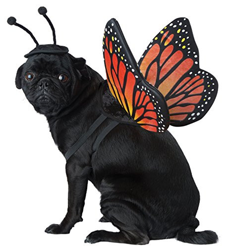 California Costumes Collections PET20164 Monarch Butterfly Dog Costume, Large