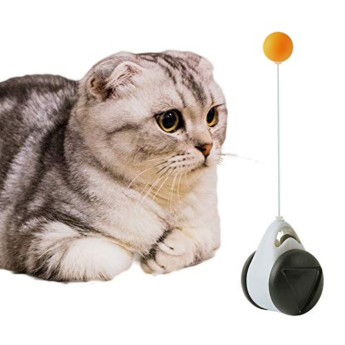 TLOG Interactive Cat Toys Catnip Toys for Indoor Cats 180 Degree Self Rotating Ball Toy with Catnip Balanced Cat Chasing Toys Balance Swing Car Toy for Cat Kitty Exercise Chasing Hunting Playing