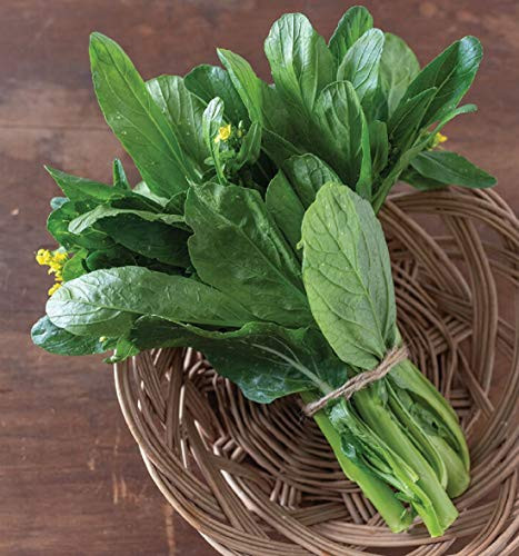 Davids Garden Seeds Greens Asian Green 70 D Improved 4094 Green 200 Non-GMO Open Pollinated Seeds