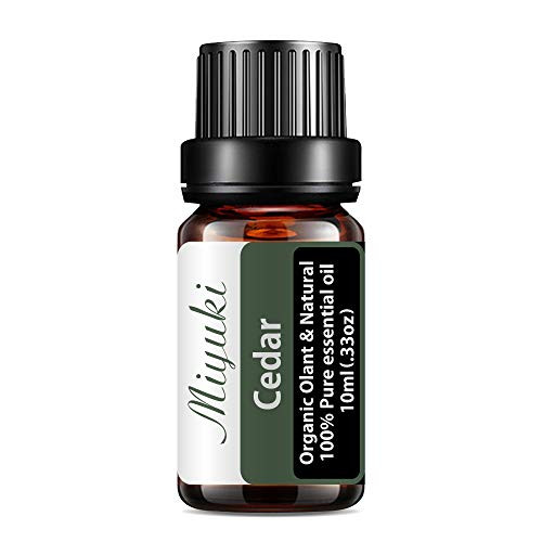 Miyuki Cedar Essential Oil Organic Plant   Natural 100 Pure Therapeutic Grade Aromatherapy Cedar Oil for Diffuser Humidifier Massage Sleep Perfume Bath SPA Skin   Hair Care-10ml