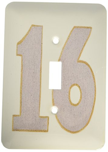 3dRose lsp-28208-1 Number Sixteen 16 in Silver Outlined in Gold Single Toggle Switch