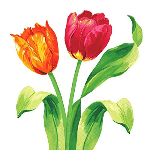 Amscan Bright Tulips Beverage Napkins 16 Ct_  Party Tableware