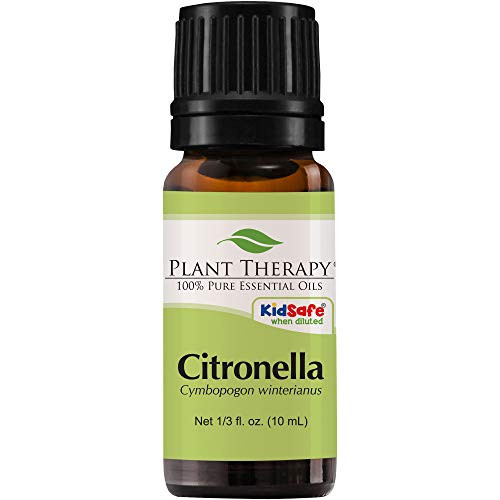 Plant Therapy Citronella Essential Oil 10 mL 13 oz 100 Pure Undiluted Therapeutic Grade Plant Therapy Citronella Essential Oil 10 mL 13 oz 100 Pure Undiluted Therapeutic Grade