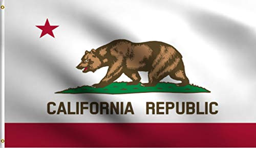 DMSE California State The Bear Flag Flag 2X3 Ft Foot 100 Polyester 100D Flag UV Resistant 2 X 3 Ft Foot
