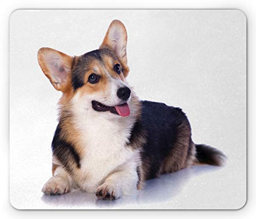 Ambesonne Corgi Mouse Pad Photo of Pet Friend Pembroke Welsh Puppy Dog Lover Rectangle Non-Slip Rubber Mousepad Standard Size Eggshell Peach