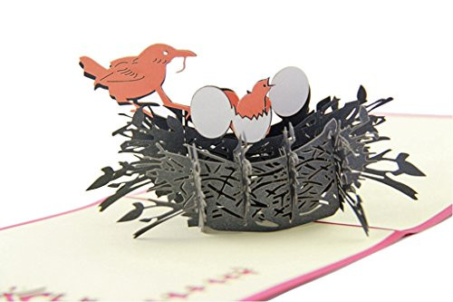 IShareCards 3D Pop Up Thank You Greeting Cards Birds Nest Mothers Day Gift Birds Nest