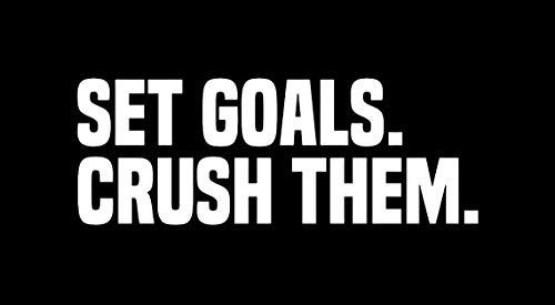 LLI Set Goals Crush Them  Decal Vinyl Sticker  Cars Trucks Vans Walls Laptop  White  7_5 x 2_7 in  LLI1535